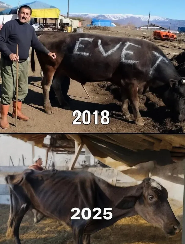 Yetkinin faturası ağır oldu