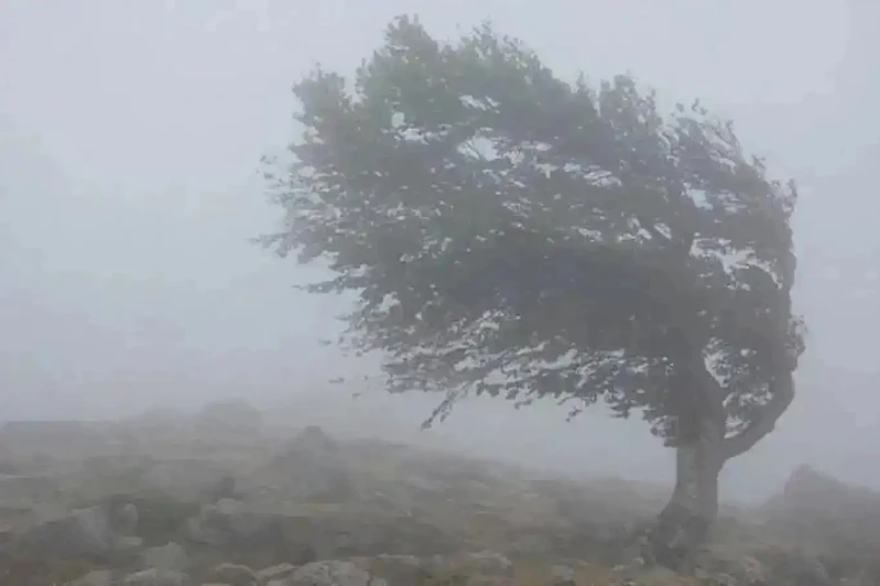 Malatya için şiddetli fırtına uyarısı
