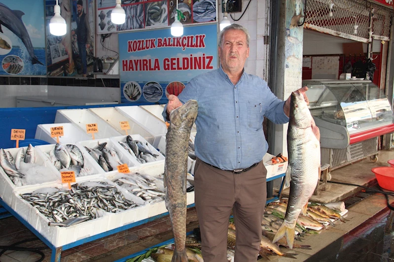 Av yasağı kalktı, balık piyasası hareketlendi