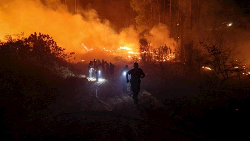 Alanya’da orman yangını: 1 kişi dumandan etkilendi