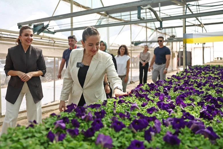 Büşra Özdemir Hurma Bitki Üretim Tesisi