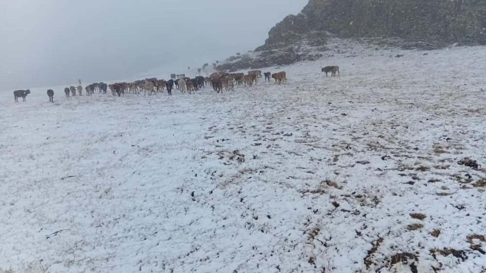 “Olur İlçesi Yaylasına Mevsimin İlk Karı Düştü”