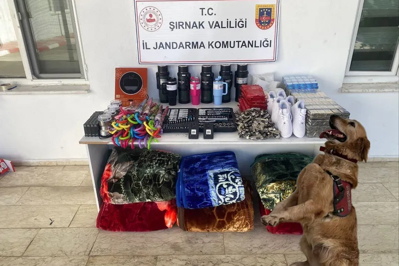 Şırnak’ta asayiş operasyonları: 145 gözaltı
