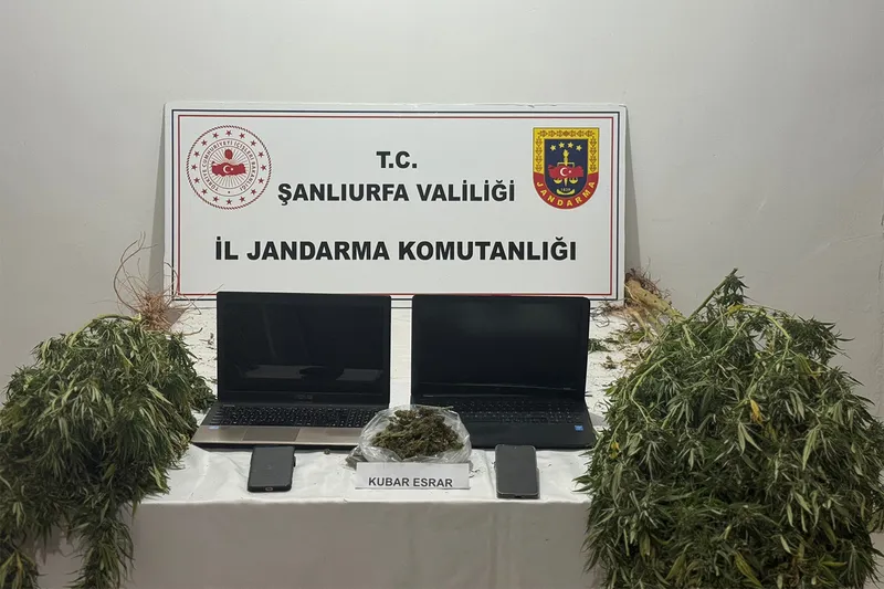 Şanlıurfa’da uyuşturucu ve dolandırıcılık operasyonu