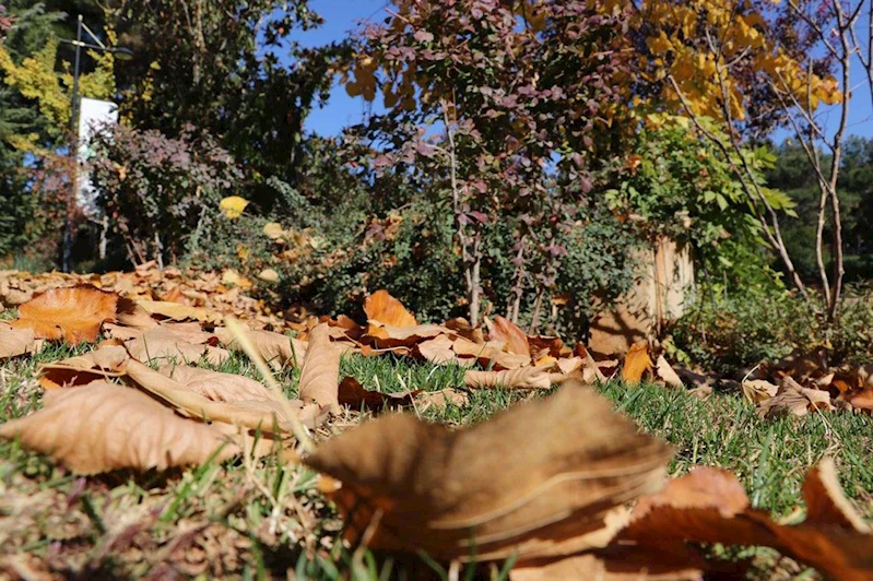 Ülke genelinde yağış beklenmiyor