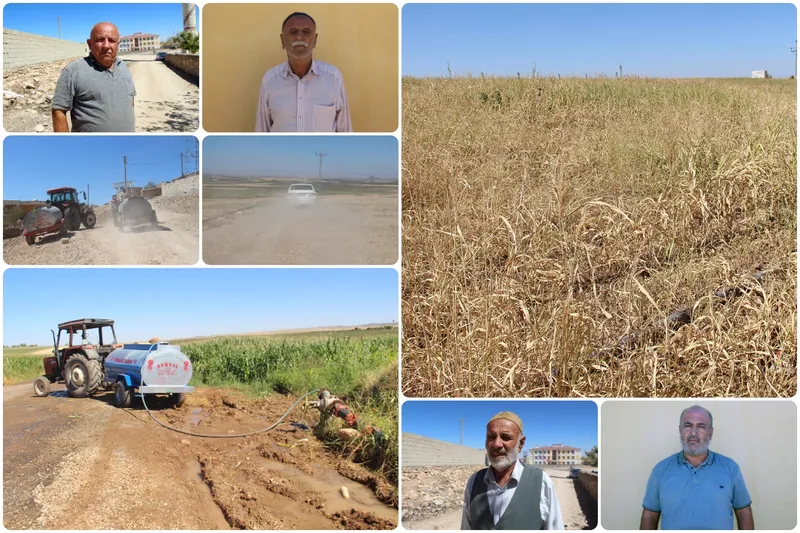 Düzova Mahallesi yıllardır susuzluk ve elektriksizlikle mücadele ediyor