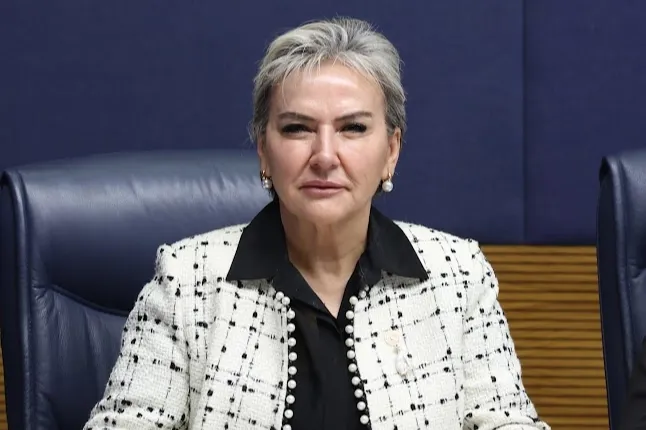 Milletvekili Özdemir 