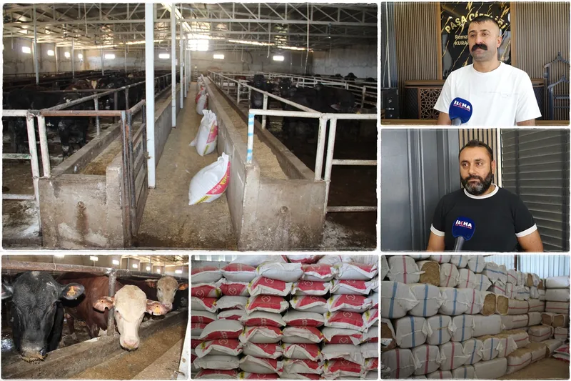 Besiciler: Artan maliyetler üretimi tehdit ediyor