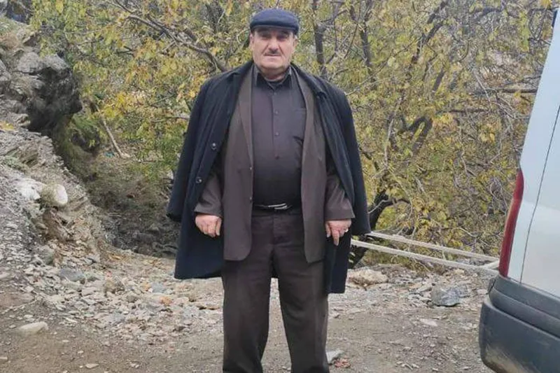 Ceviz silkelemek için çıktığı ağaçtan düşen adam hayatını kaybetti