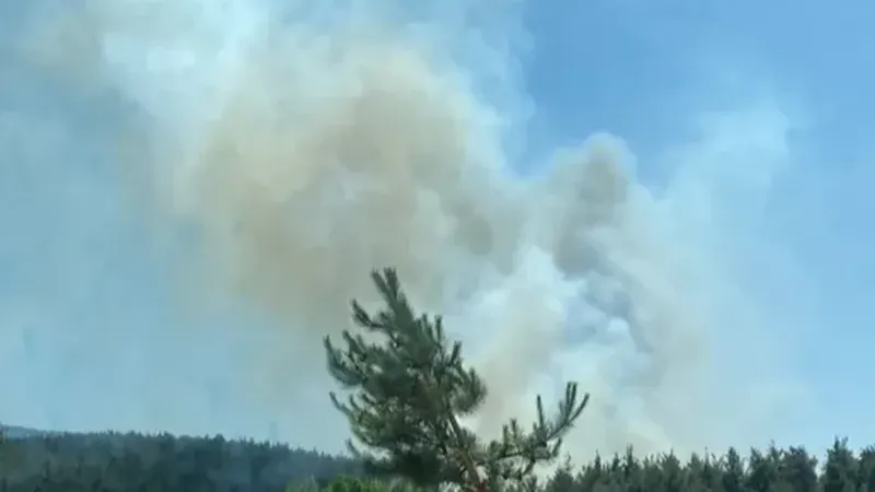 Burdur’un Ağlasun ilçesinde orman yangını