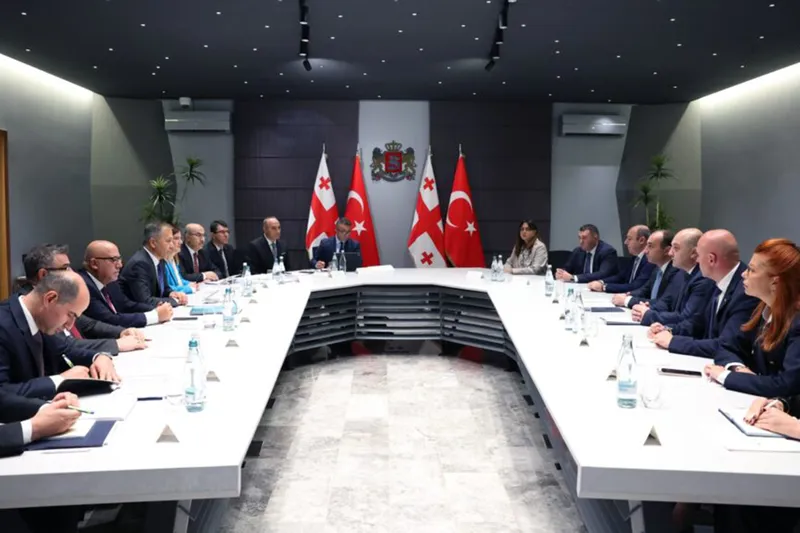 İçişleri Bakanı Yerlikaya Gürcistan