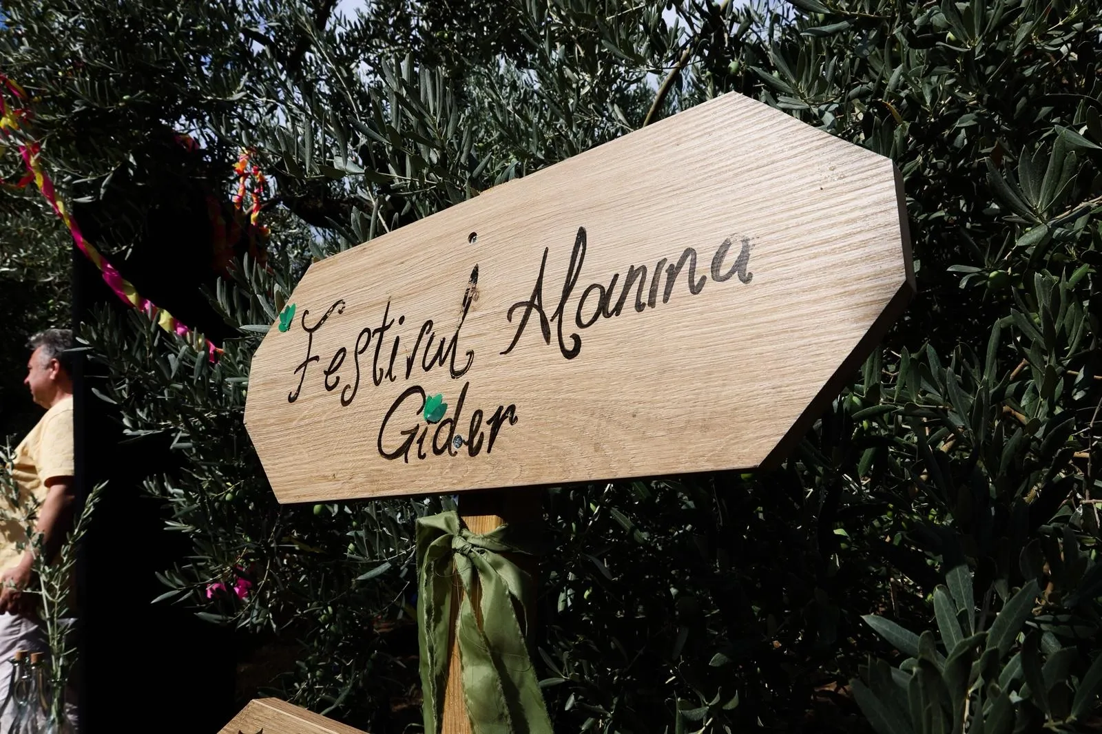 Bursa Gemlik Zeytini