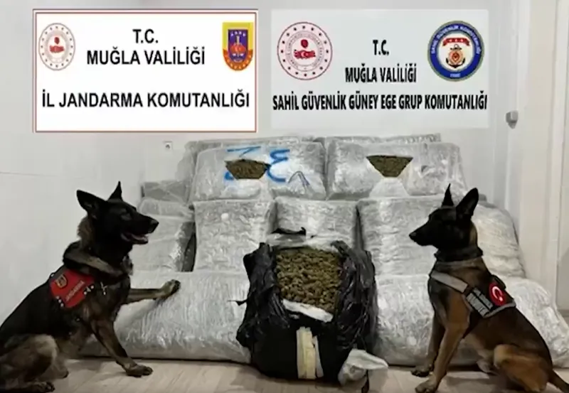 Bakan Yerlikaya: ‘Muğla açıklarındaki teknede 210 kilogram skunk ele geçirildi’  - Videolu Haber