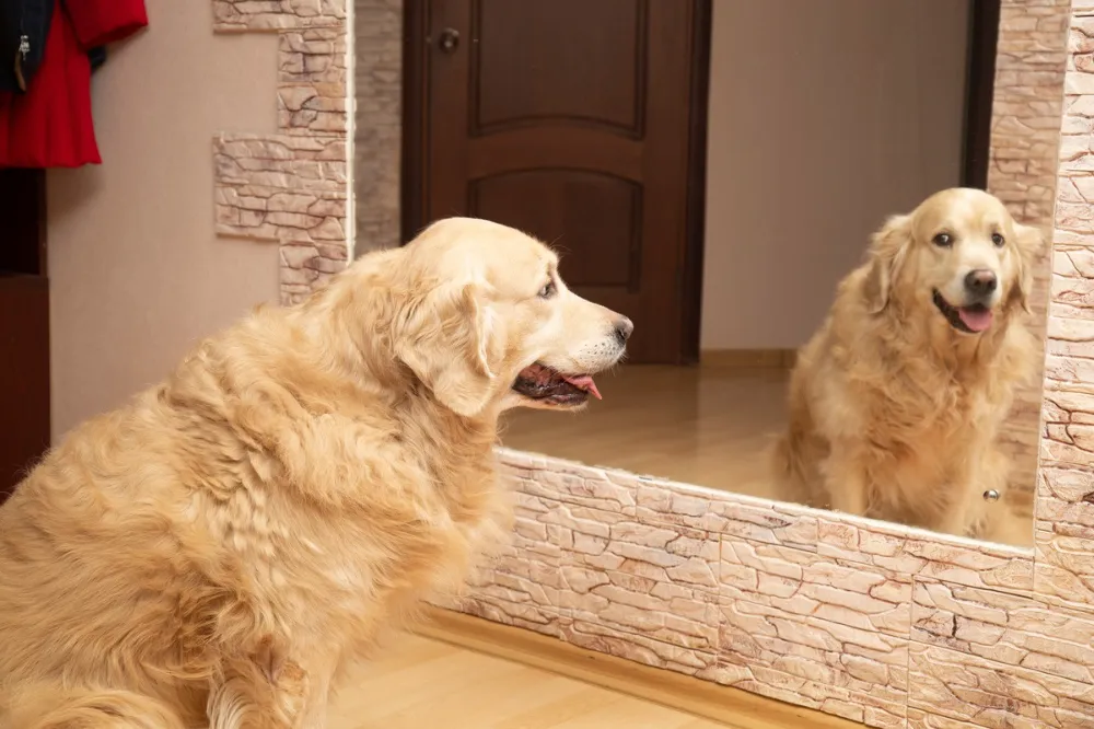 İtin Biri Beni Tanımıyormuş