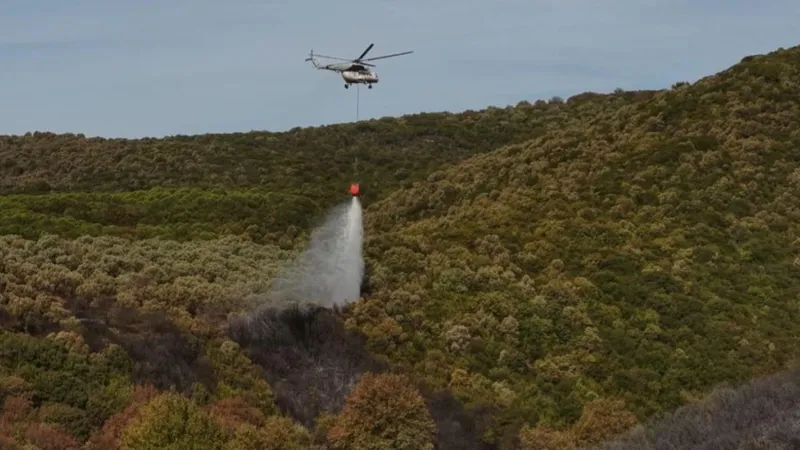 Bursa’da orman yangını kontrol altına alındı