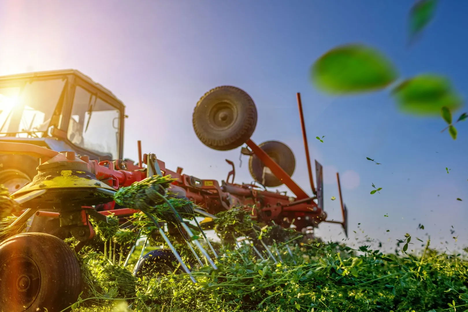 AgroGreen Bursa 2025, 16 ülkeden satın almacı ağırlayacak