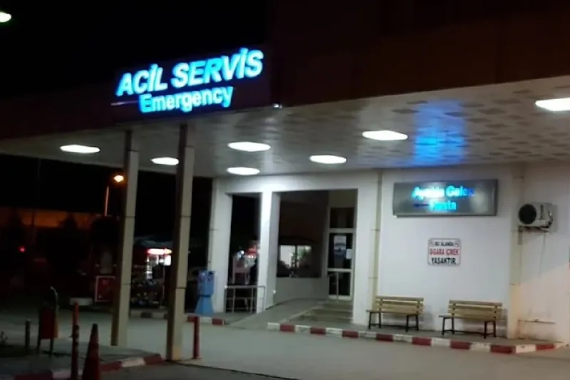 Mersin’de ceviz toplarken akıma kapılan kişi hastaneye götürülürken kazada öldü