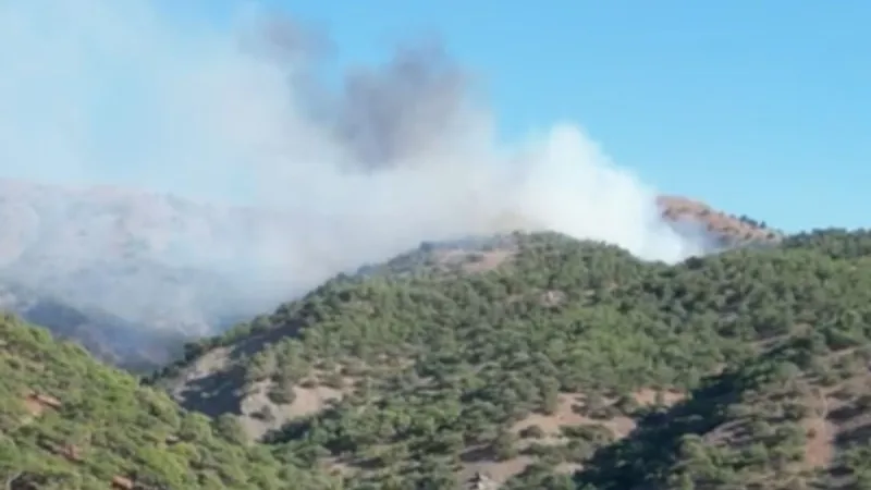 Adıyaman’ın Yazıbaşı-Çamyurdu-Uzunköy kırsalında korkutan yangın: Müdahale bekleniyor 