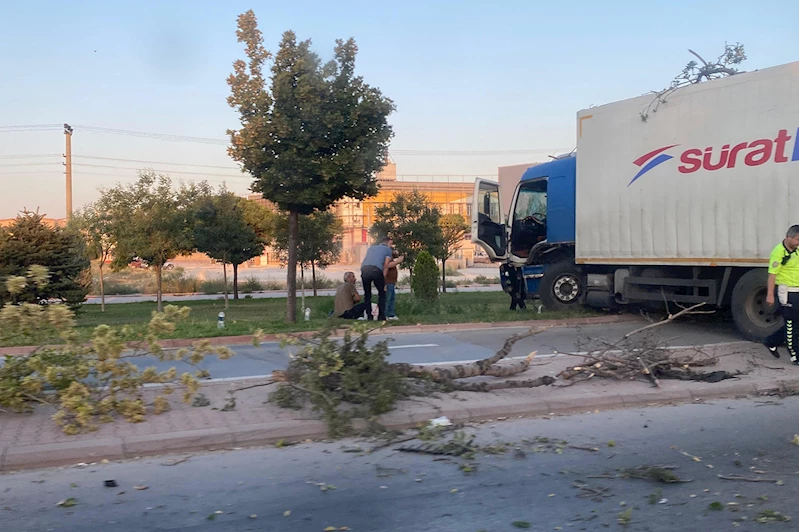 Konya-Adana yolunda kontrolden çıkan tır ağaca çarptı