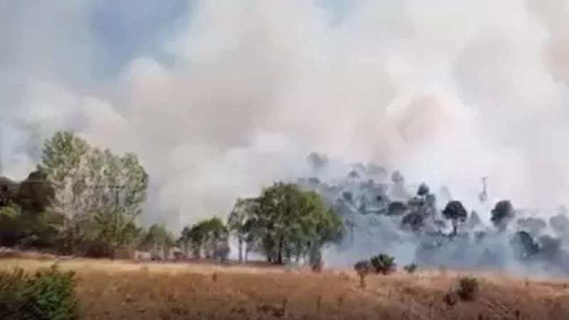 Sivas’ın Zara ilçesinde ağaçlık alanda yangın çıktı