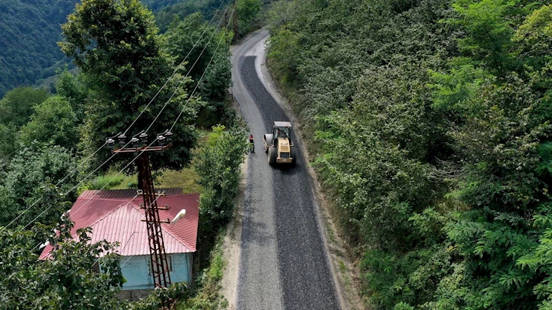 Ordu Ünye Pelitliyatak