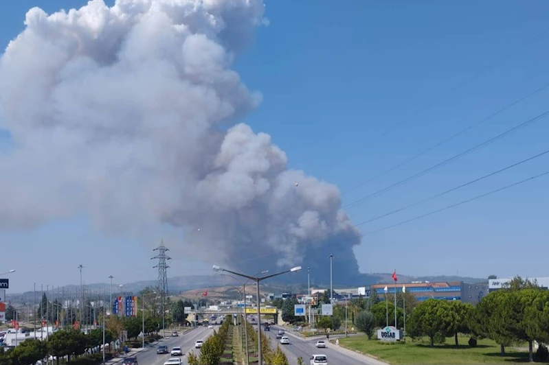 Bursa’da orman yangını kontrol altına alındı
