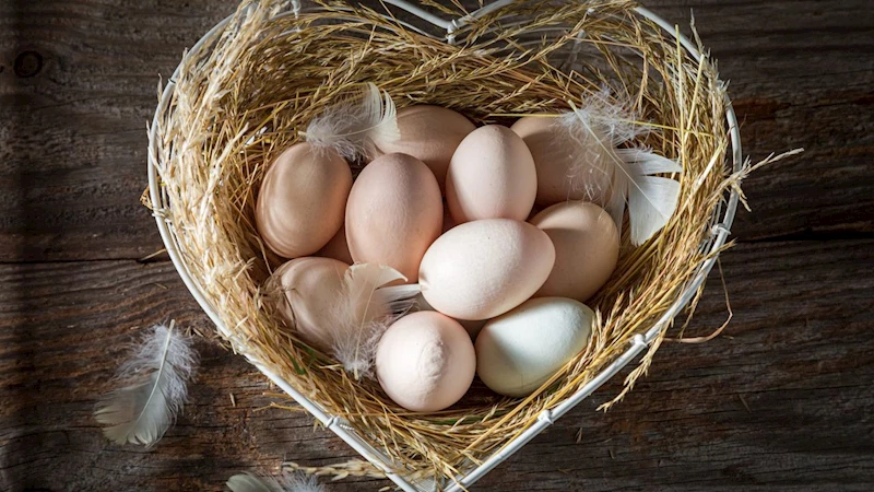 Türkiye’nin ABD’ye yumurta ihracatı 4 kat arttı