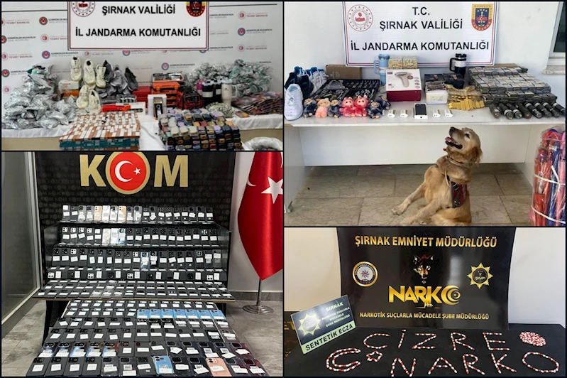 Şırnak’ta asayiş operasyonları: 97 gözaltı